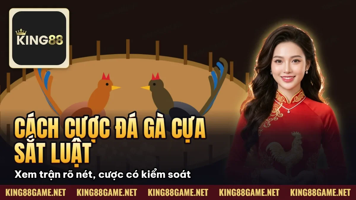 Cách Cược Đá Gà Cựa Sắt – Luật Chơi Và Cách Xem Trận Dễ Dàng