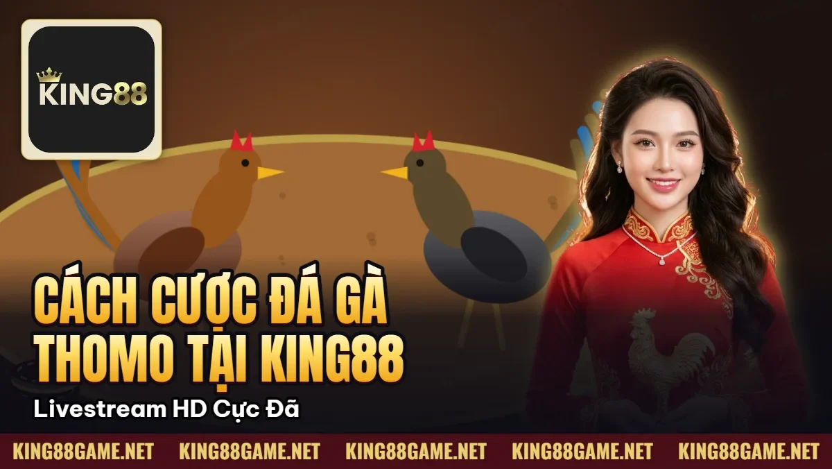 Cách Cược Đá Gà Thomo Tại King88 – Livestream HD Cực Đã